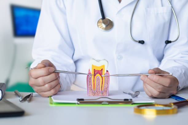 Best Urgent Care for Lost Fillings or Crowns in Cherokee Village, AR